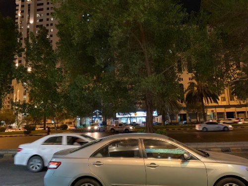 Najmat Alnoor Almaabdah Hotel image 5